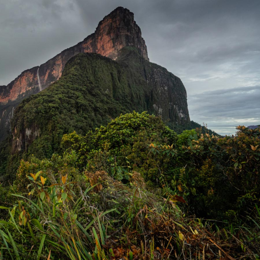 LW leo Roraima mountain m