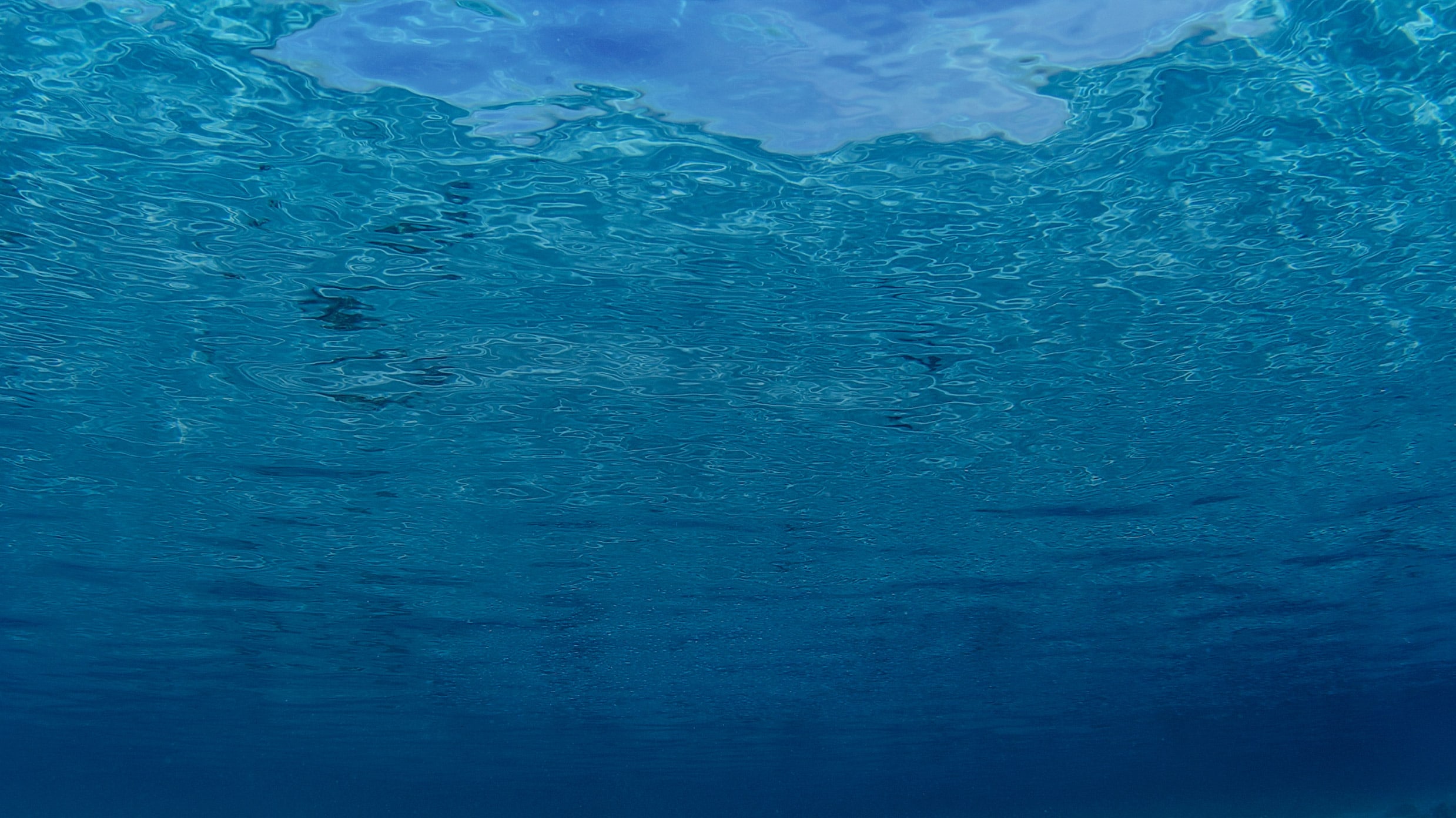 linde werdelin x jacques de vos deap dea retina