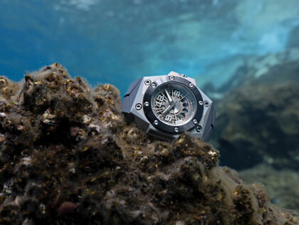 LindeWerderlin moonlite journal hero