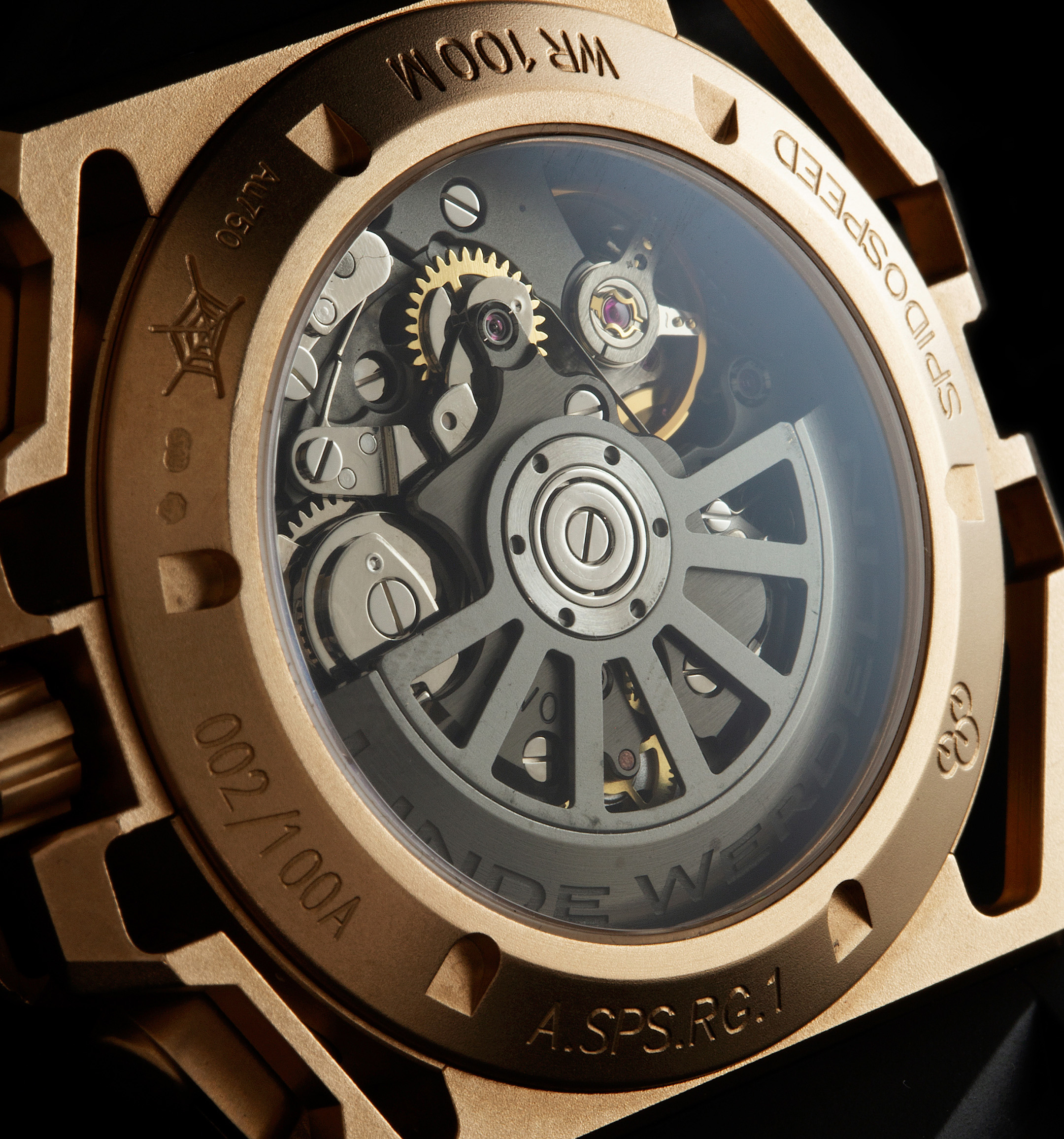 LW auction spidospeed gold Gallery 05