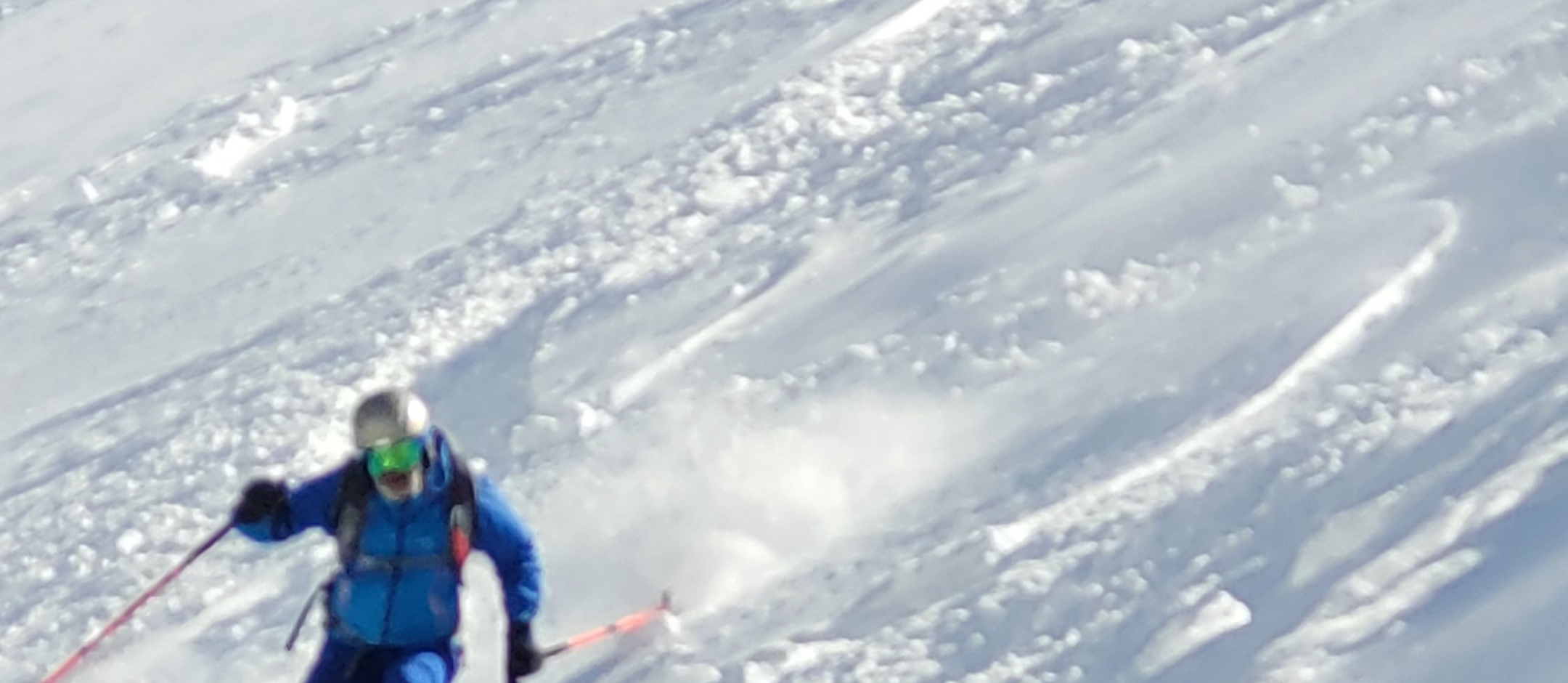 20250227 131759 cropped 3 4